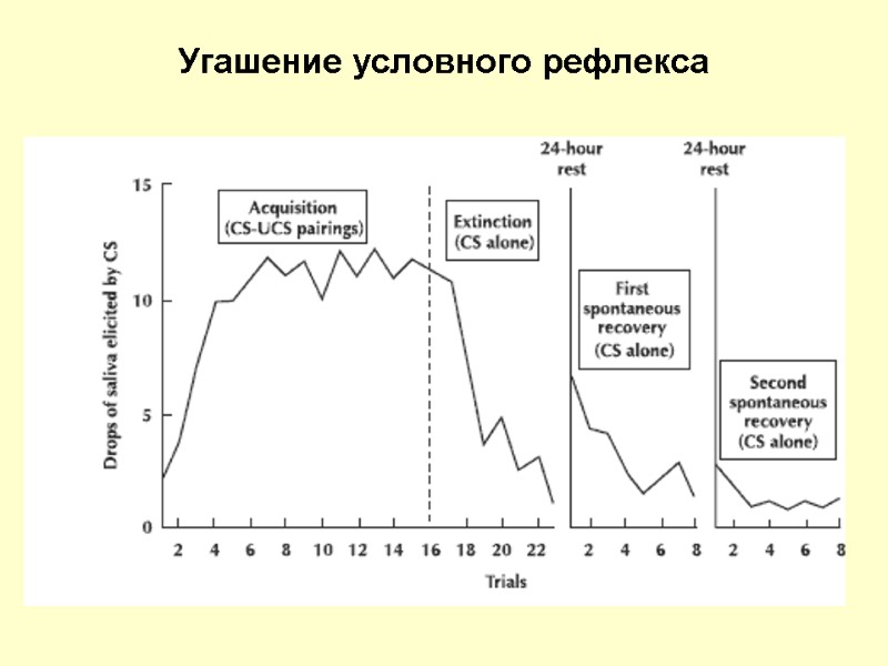 Угашение условного рефлекса